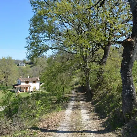 Scappo In Umbria, Il Pennacchio