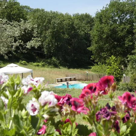 Scappo In Umbria, Il Pennacchio