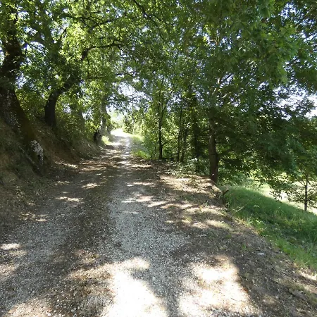 Scappo In Umbria, Il Pennacchio